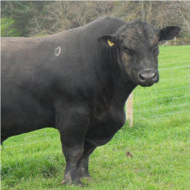 Example Blog Post Title8